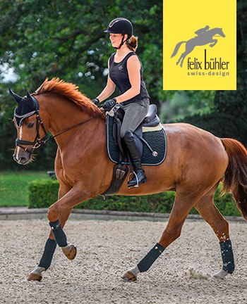 Felix Bühler Kollektionen fürs Pferd - Marken - Felix Bühler