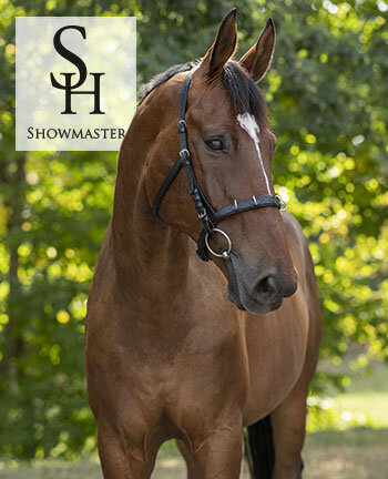 SHOWMASTER Longieren & Bodenarbeit