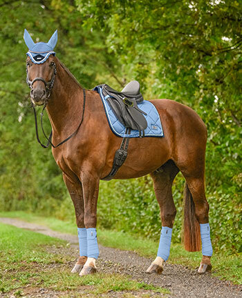 Pferd