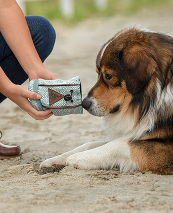 Hunde fttern