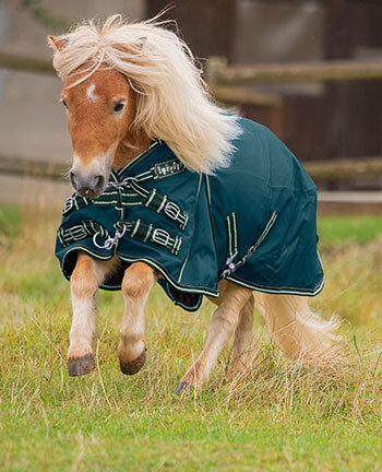 Pony- und Fohlendecken