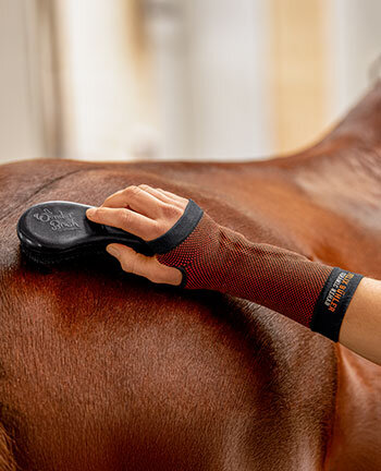 Therapieartikel für Reiter