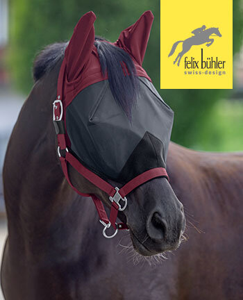 Felix B�hler Fliegenschutz