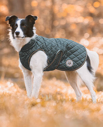 Winterm�ntel mit F�llung, ab 50 g