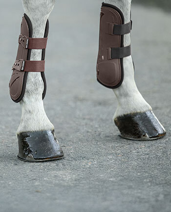 Beinschutz & Hufschutz