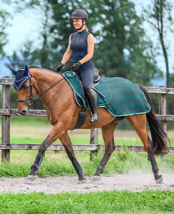 Fliegen- Ausreitdecken