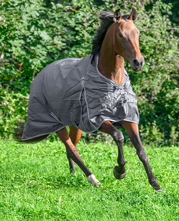 Regen- & Winterdecken