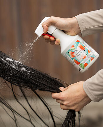 Shampoos & Trockenshampoos