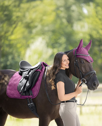 Kollektionen f�rs Pony