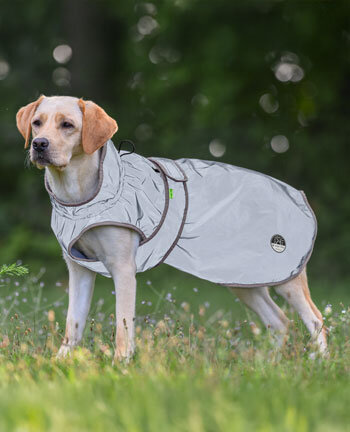 Reflexartikel f�r Hunde