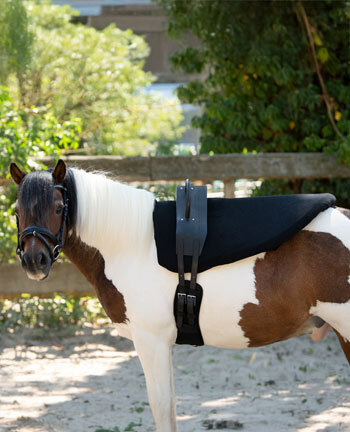 Voltigiergurte & Zubeh�r