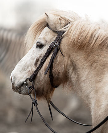 Westernponys