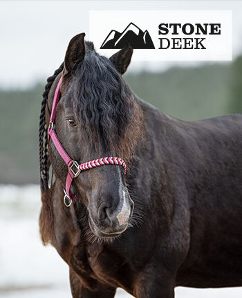 STONEDEEK Westernhalfter
