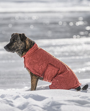 Fleece-/Frotteemntel und Sweater