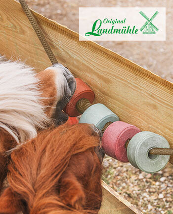 Original Landmhle Lecksteine