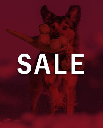 Hundebesch�ftigung