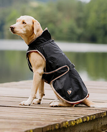 Therapieartikel fr Hunde