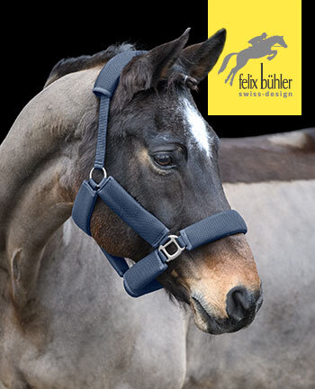 Felix B�hler Halfter & Stricke