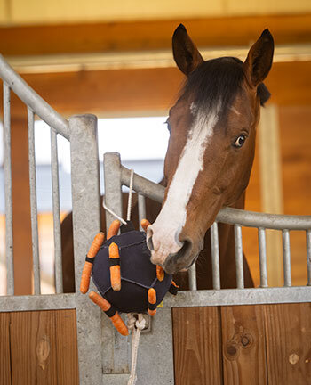 Stallbedarf