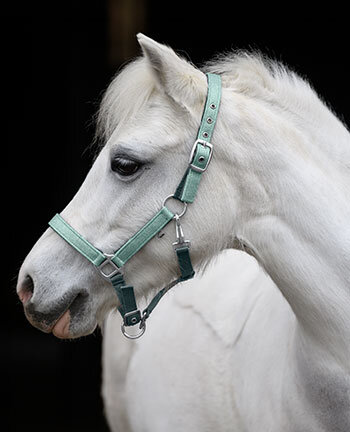 Pony- & Fohlenhalfter