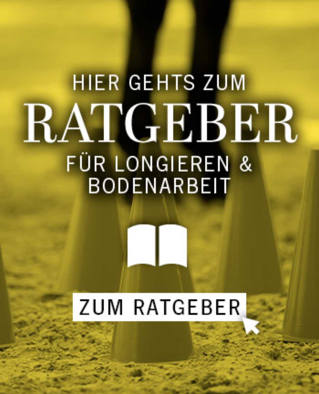 Longieren Zubehör Hilfe f Bodenarbeit Farbe Hellgrün Auswahl Longe,Pad,Gurt usw 