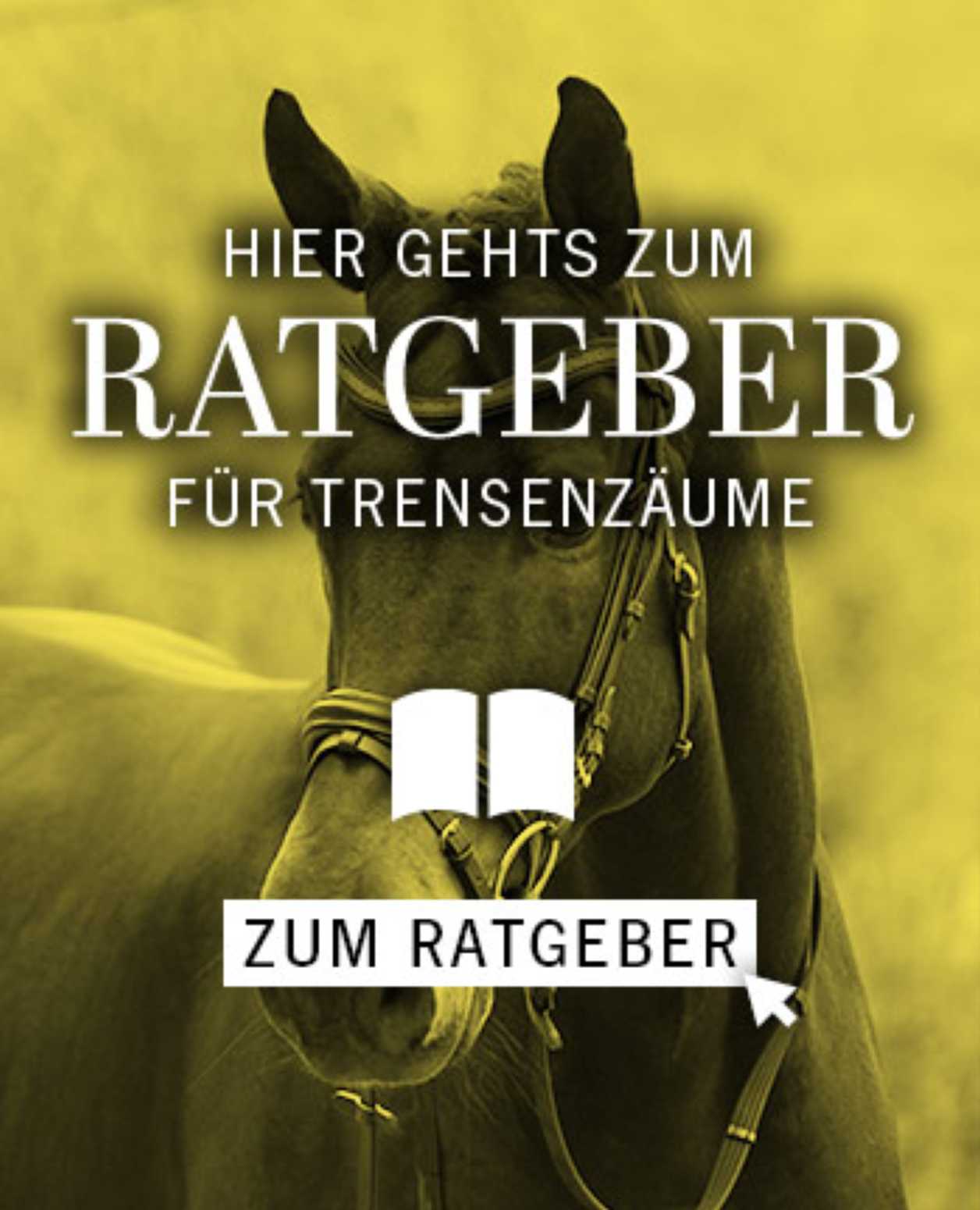 Trensen and Reithalfter für dein Pferd felix-buehler.ch