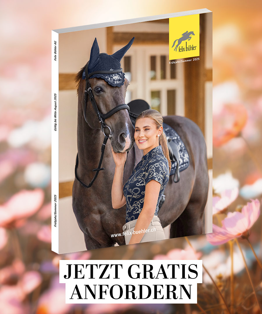 Felix Bhler Katalog