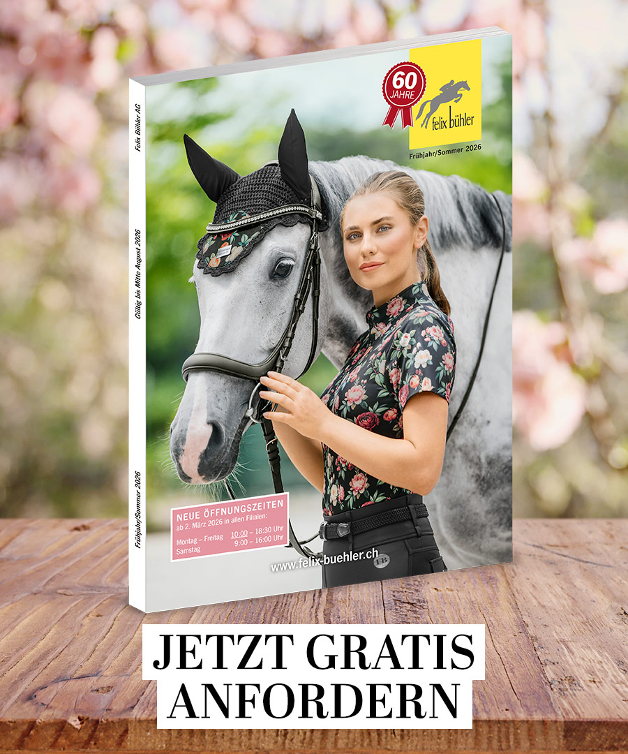 Felix B�hler Katalog