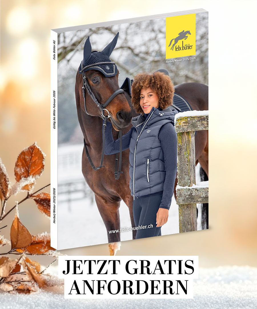 Felix Bhler Katalog