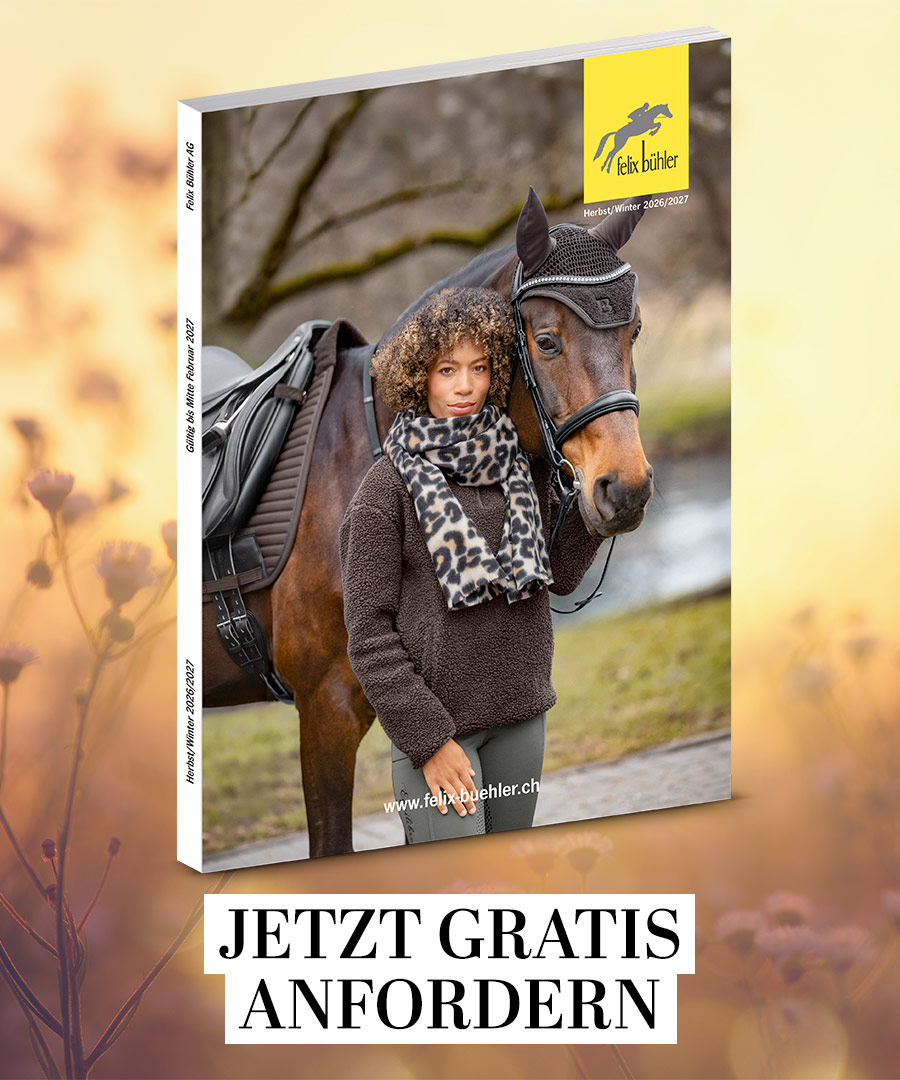 Felix B�hler Katalog