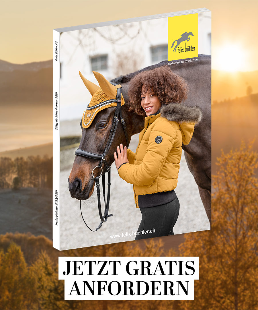Felix Bhler Katalog