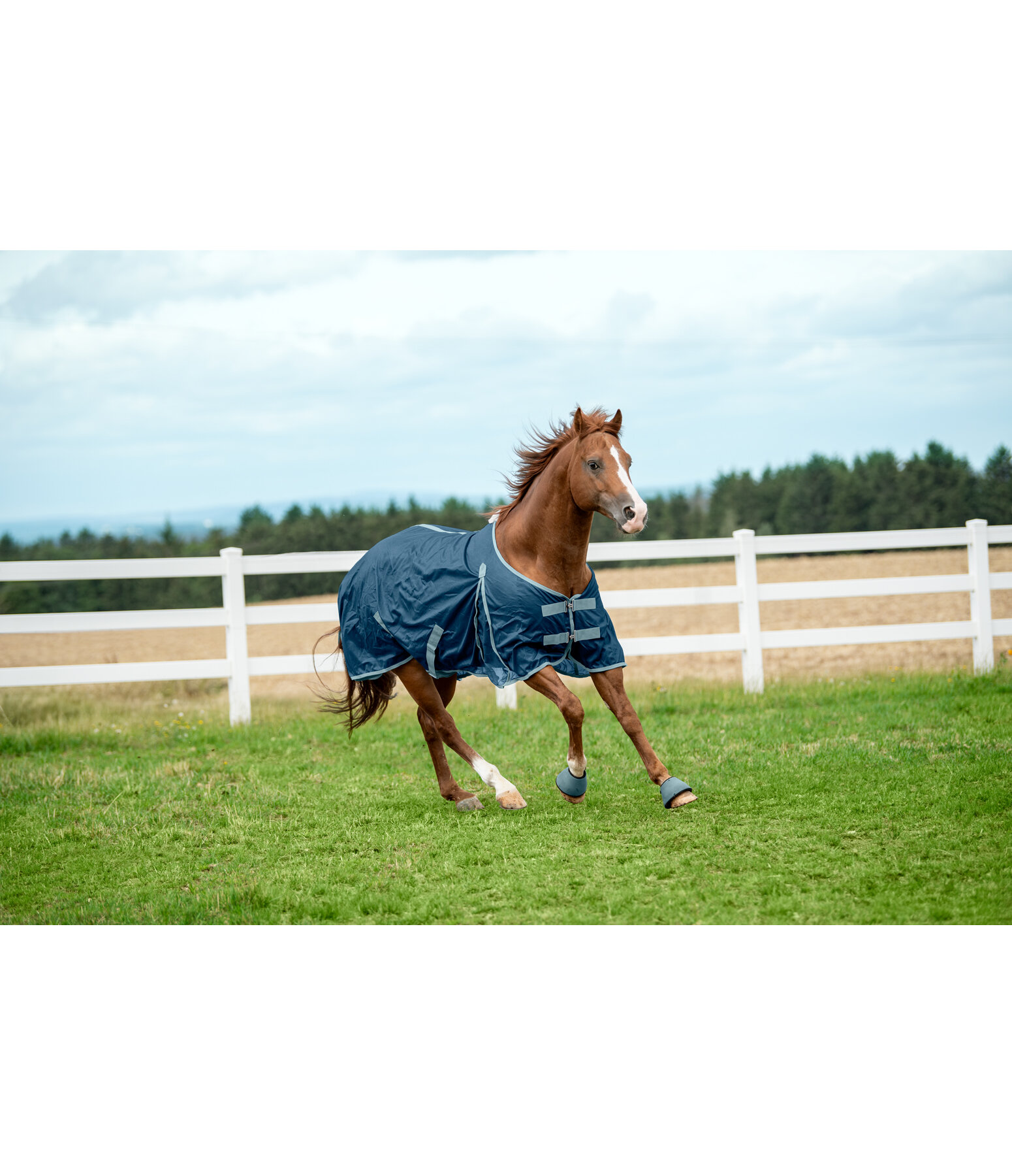 Fliegendecke Breeze