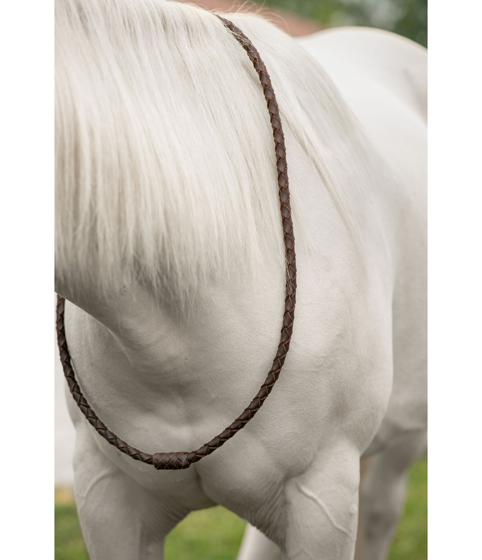 Leder-Halsring Premium