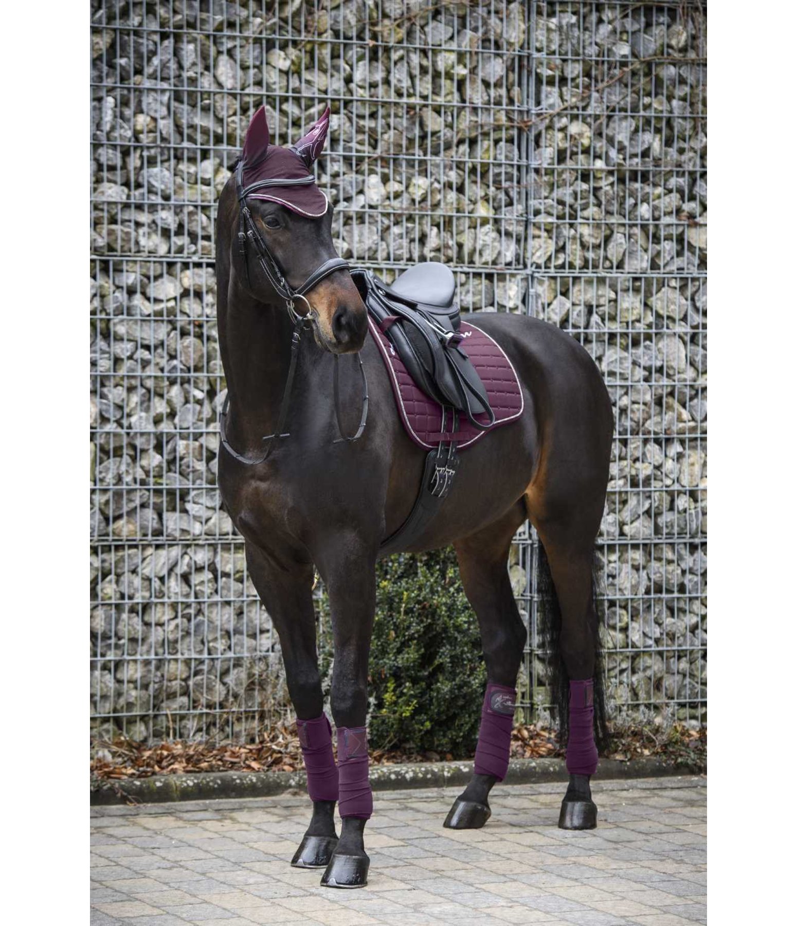 Schabracke Colour X-Plosion - Schabracken - Felix Bühler