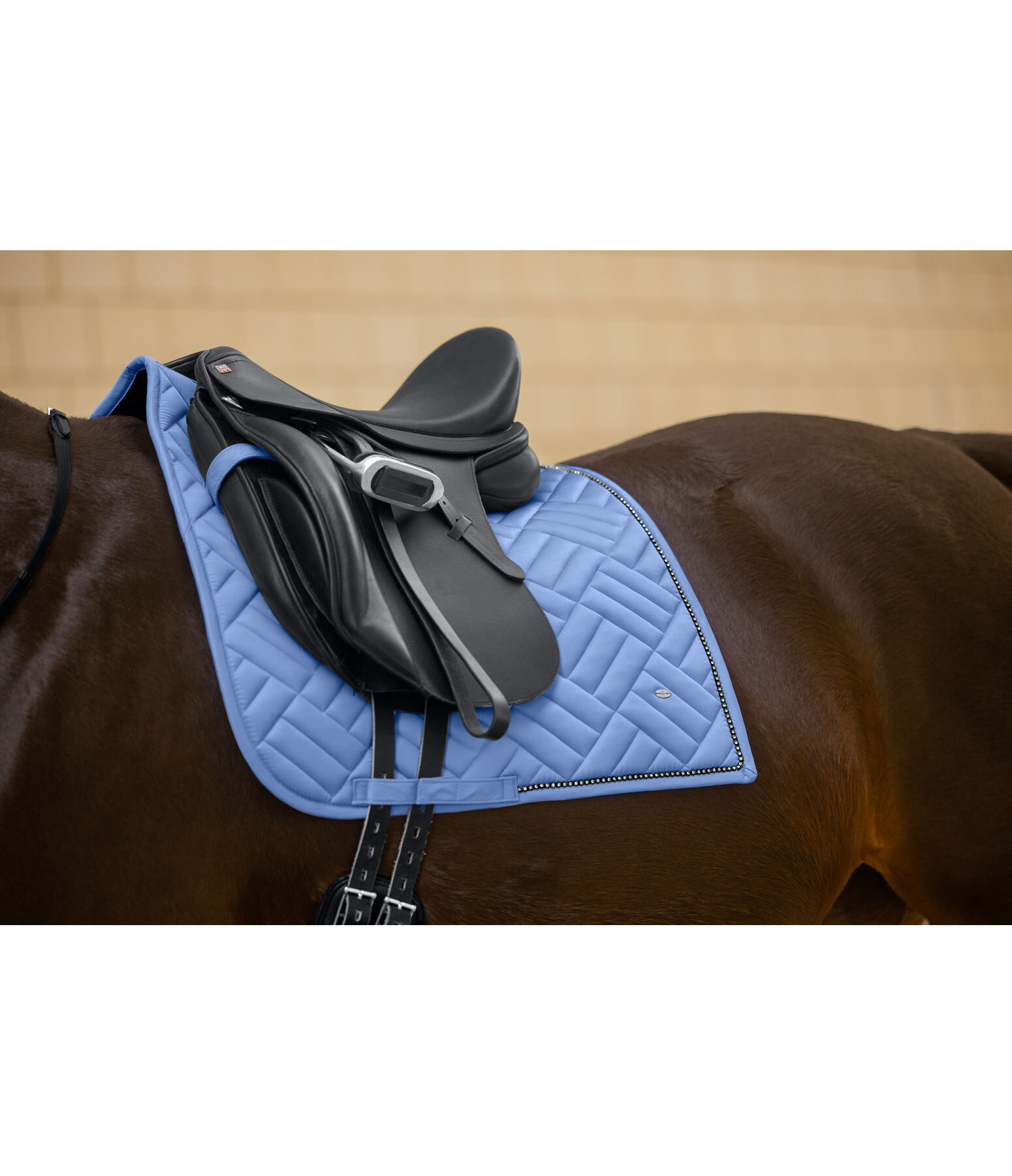 Schabracke Brilliant