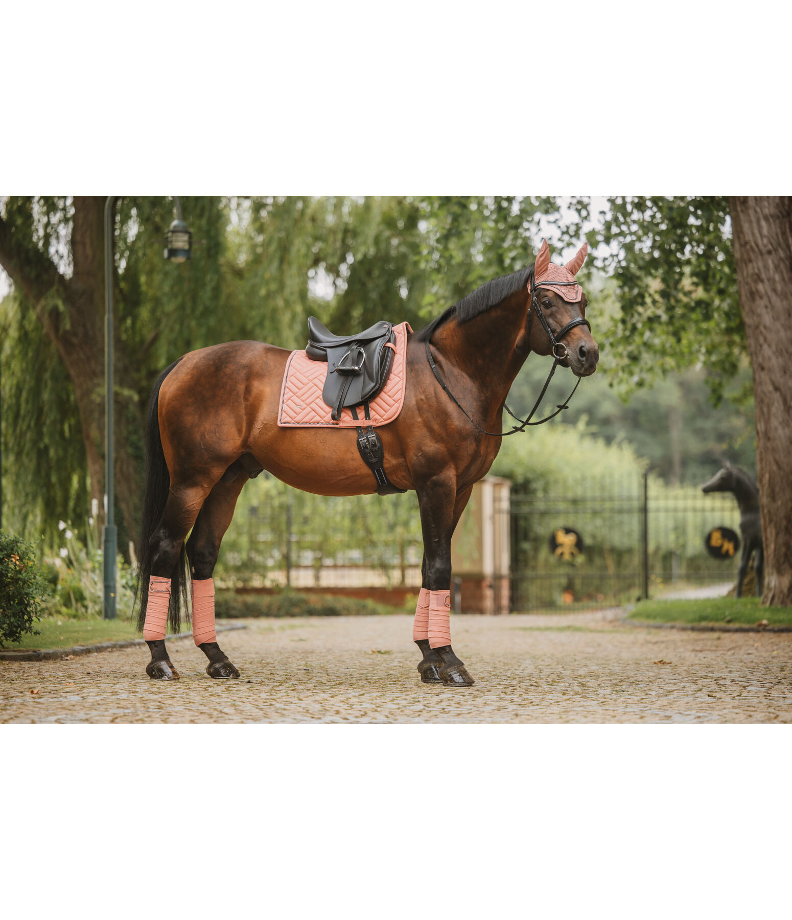 Schabracke Brilliant