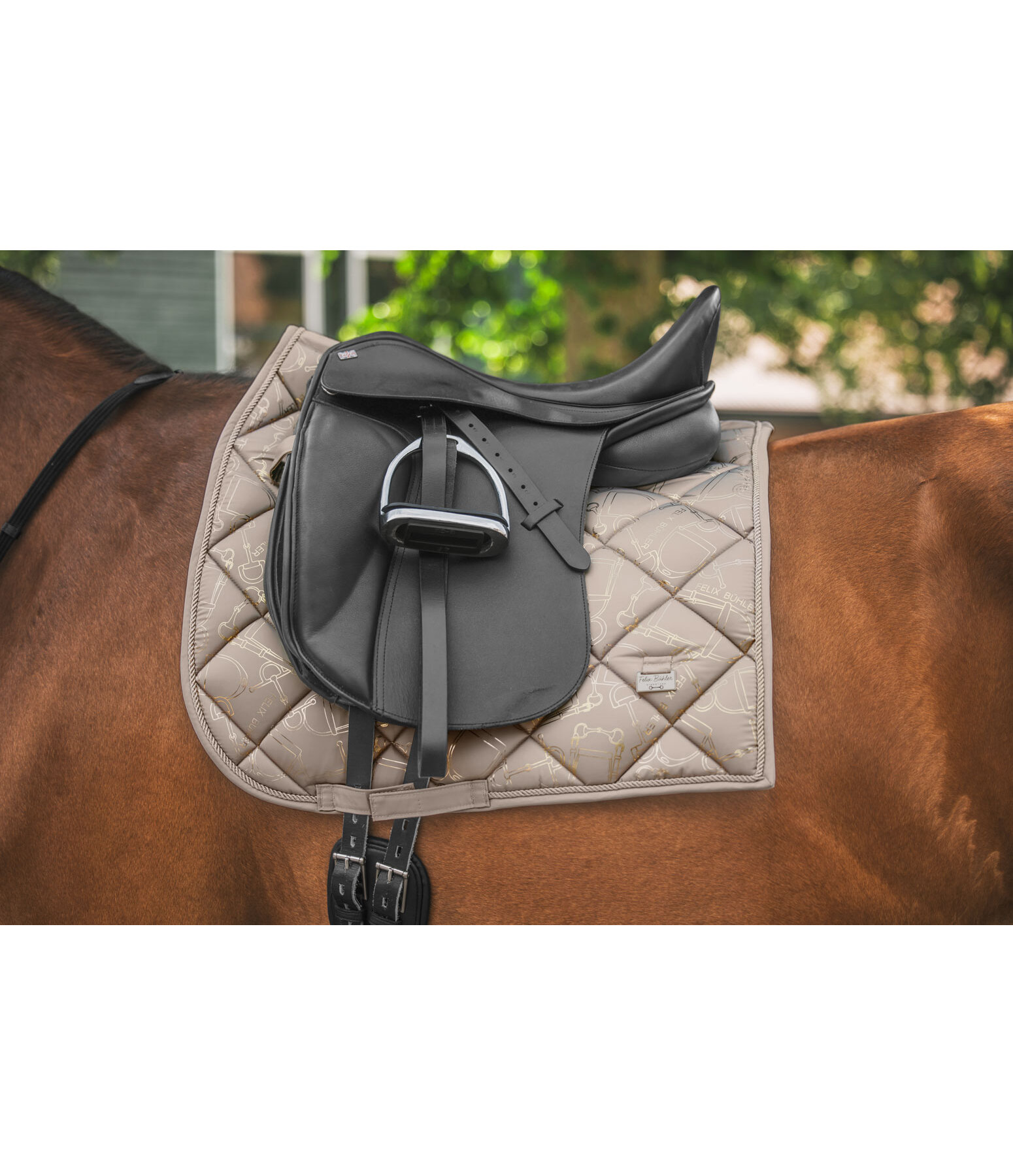 Schabracke Signature III