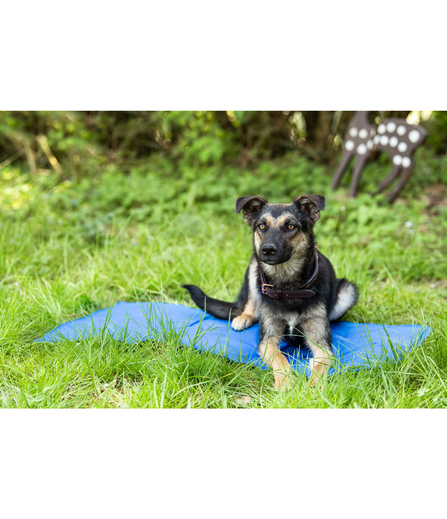 Cooling Matte für Hunde Hundebetten &amp; kissen Felix Bühler