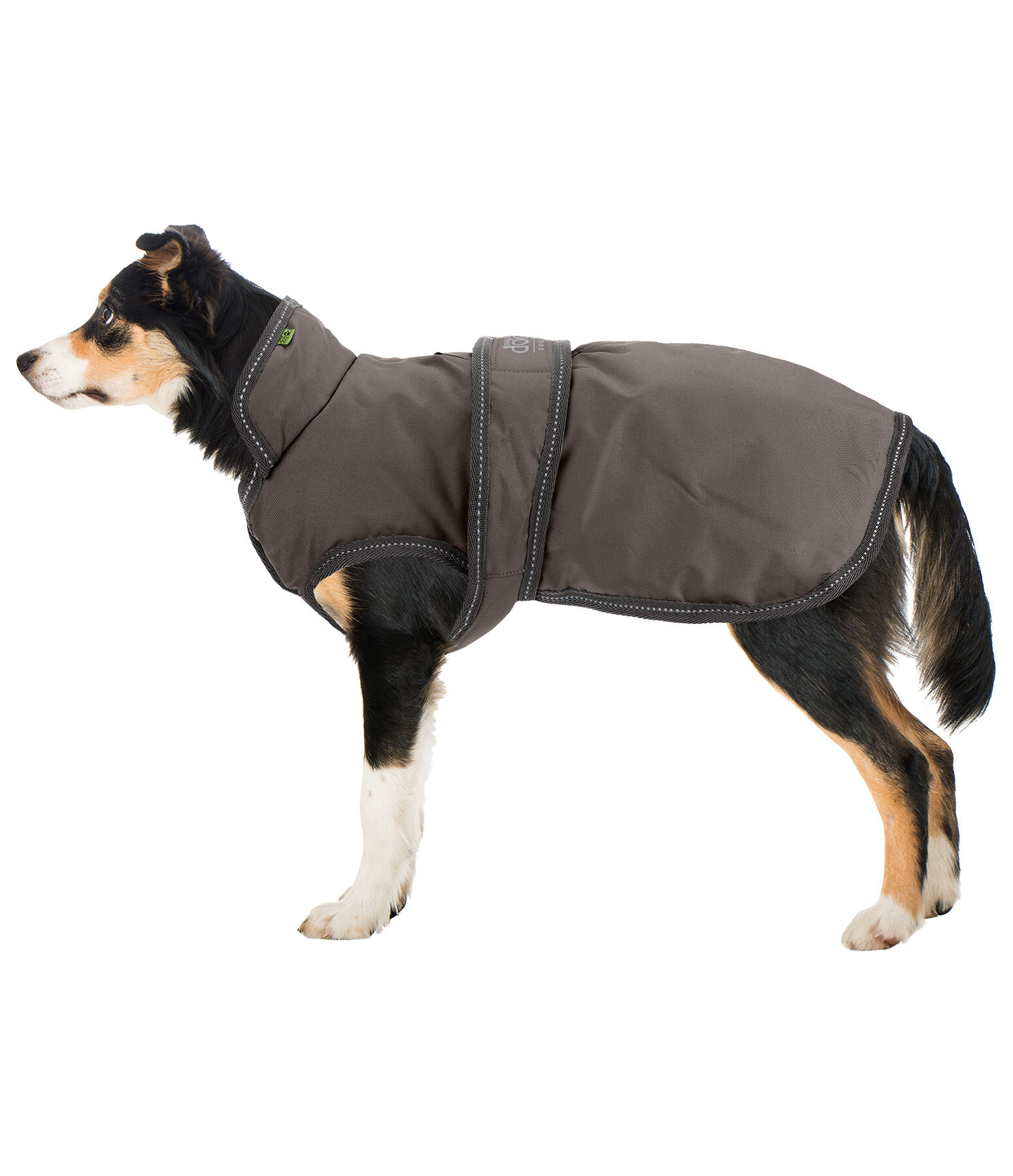 Hundemantel Eddie mit Fleeceinnenfutter 200 g