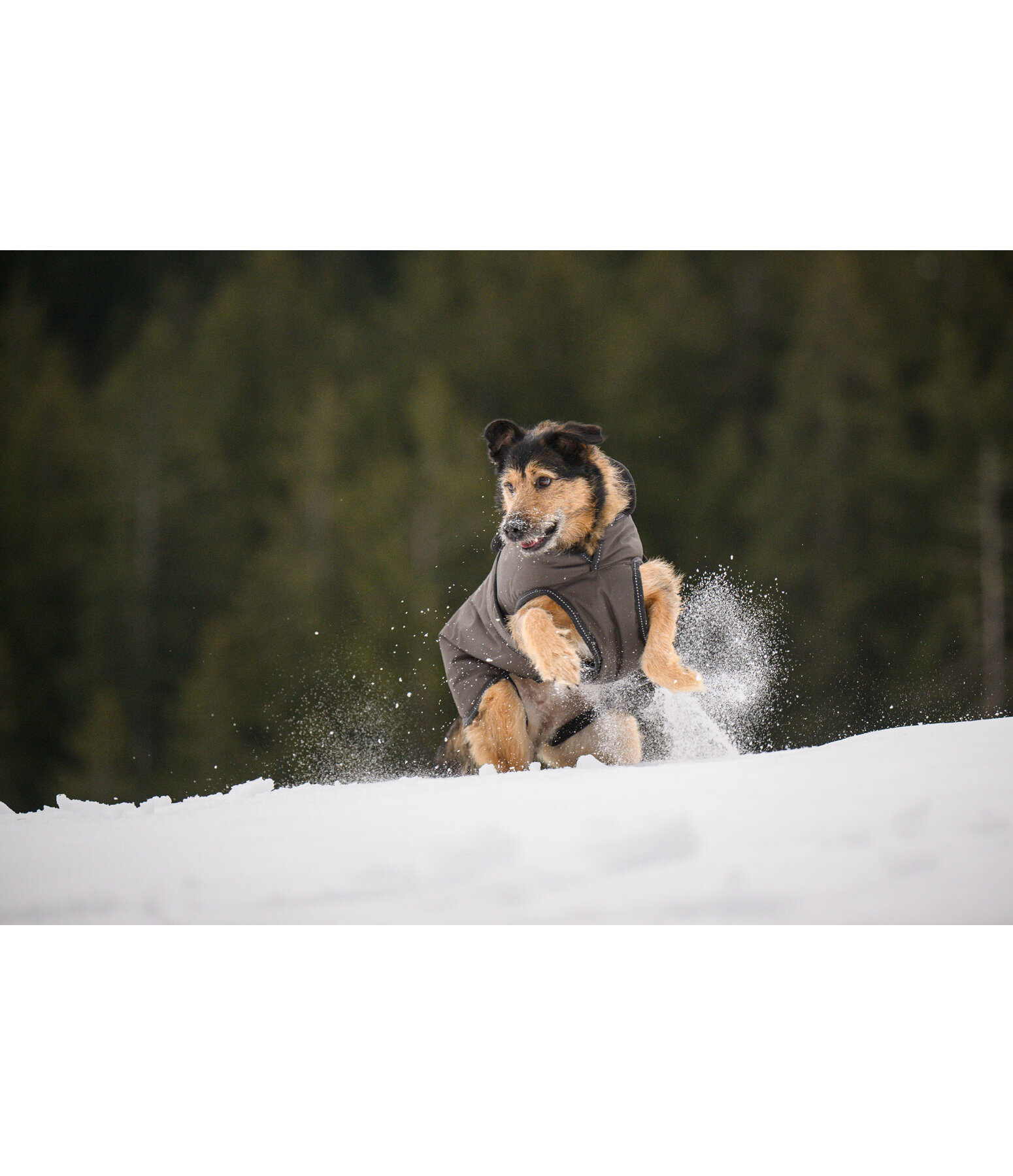 Hundemantel Eddie mit Fleeceinnenfutter 200 g