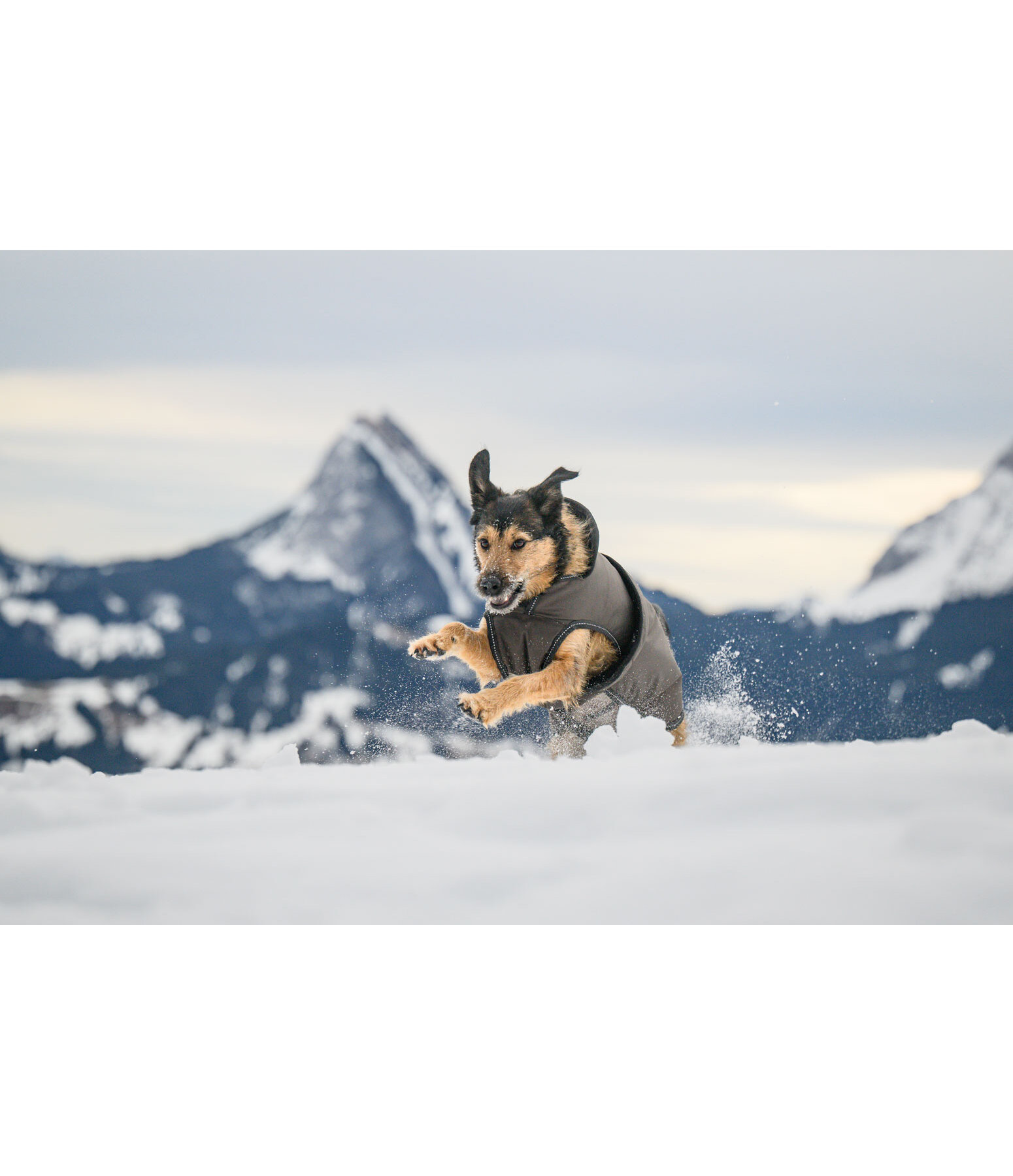 Hundemantel Eddie mit Fleeceinnenfutter 200 g