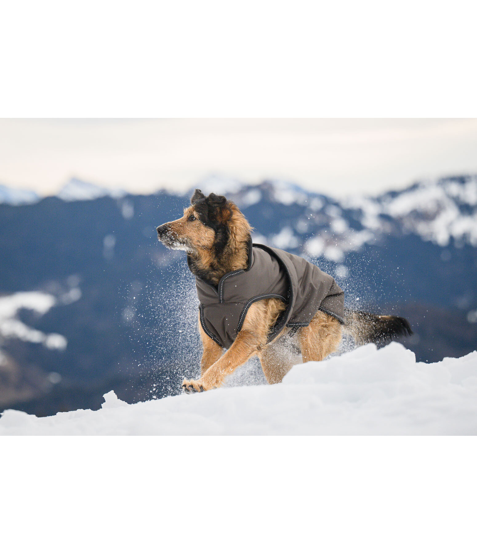 Hundemantel Eddie mit Fleeceinnenfutter 200 g