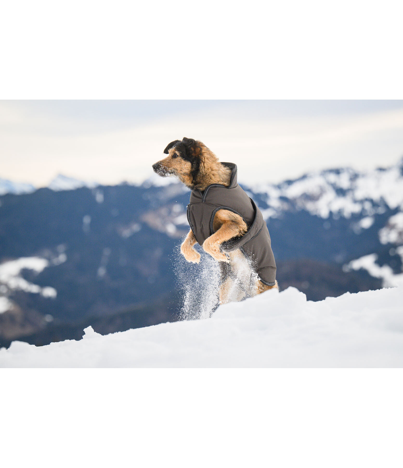 Hundemantel Eddie mit Fleeceinnenfutter 200 g