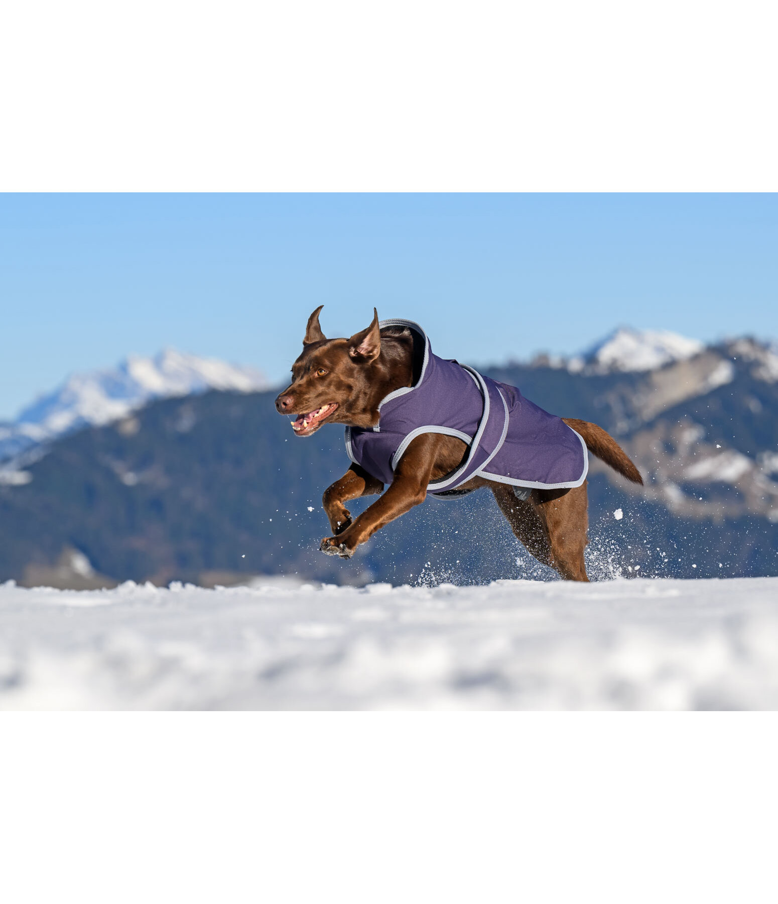 Hundemantel Eddie mit Fleeceinnenfutter 200 g