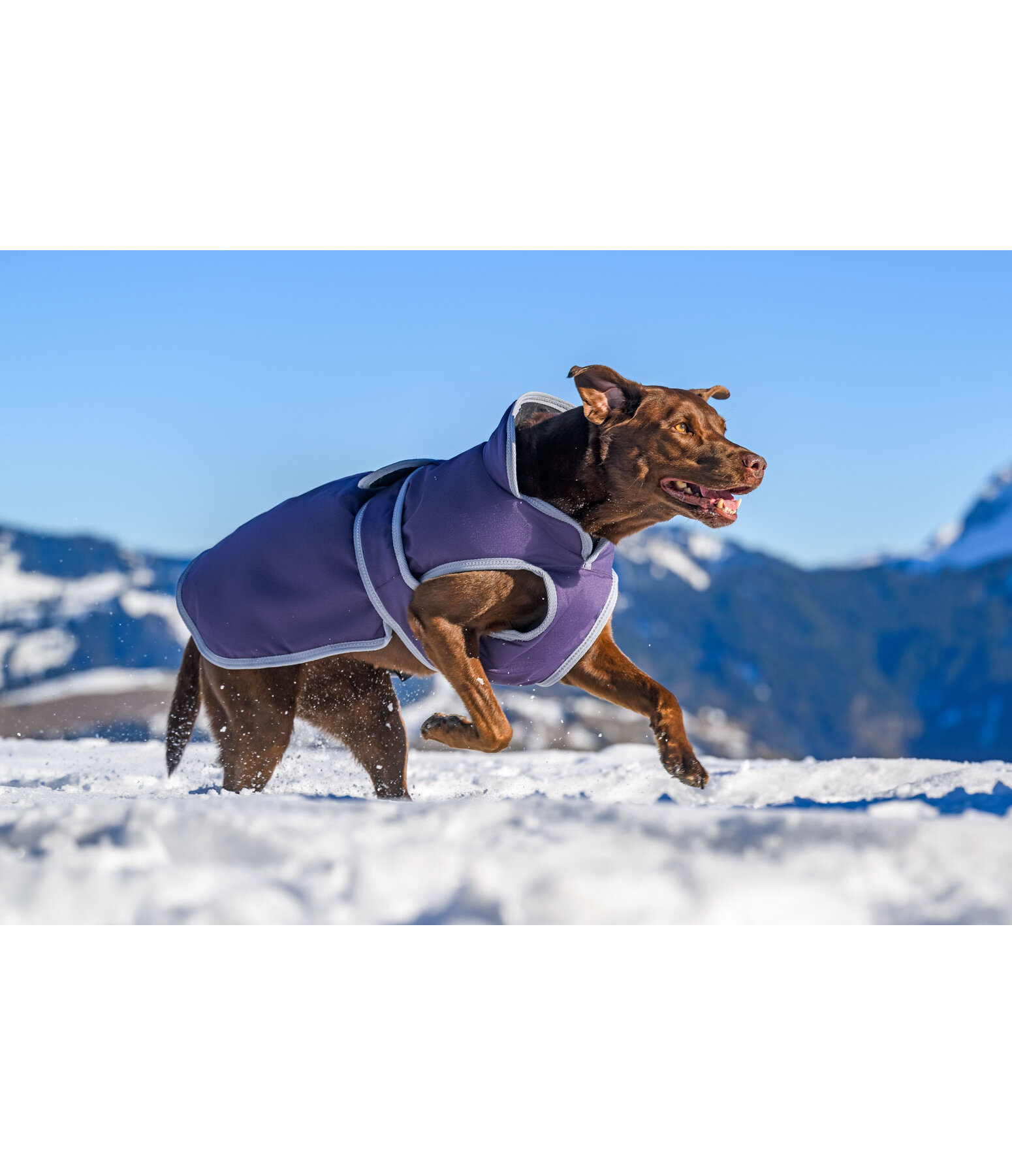 Hundemantel Eddie mit Fleeceinnenfutter 200 g