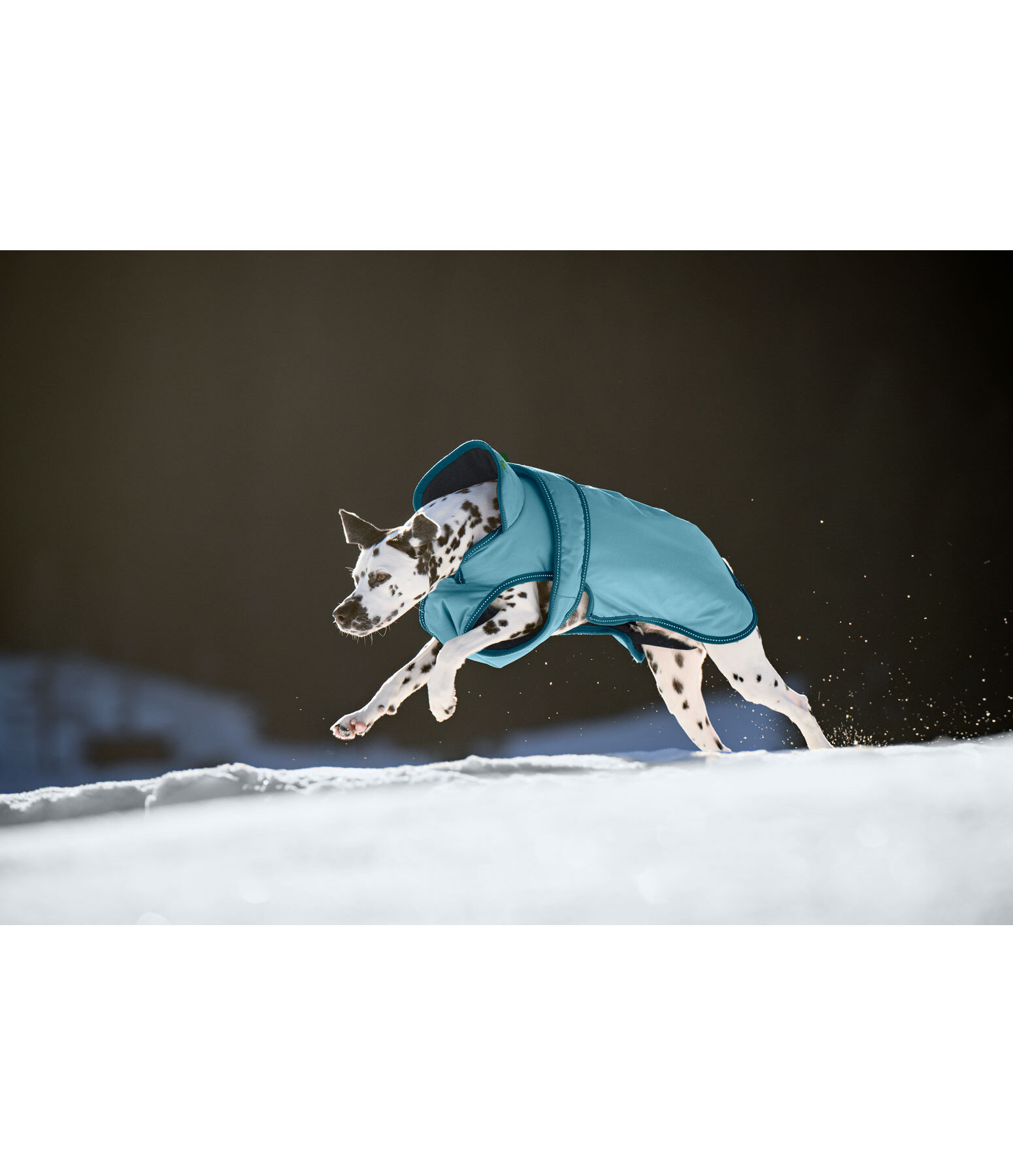 Hundemantel Eddie mit Fleeceinnenfutter 200 g