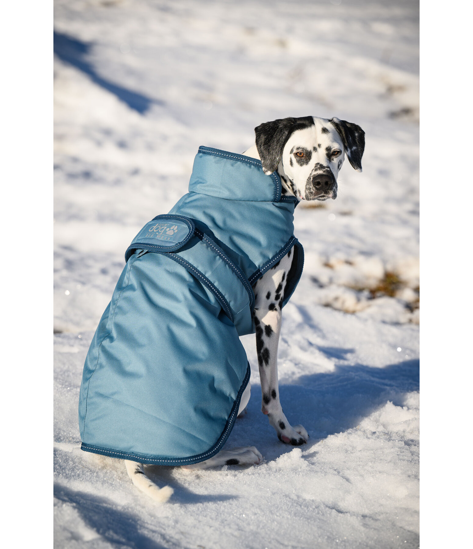 Hundemantel Eddie mit Fleeceinnenfutter 200 g