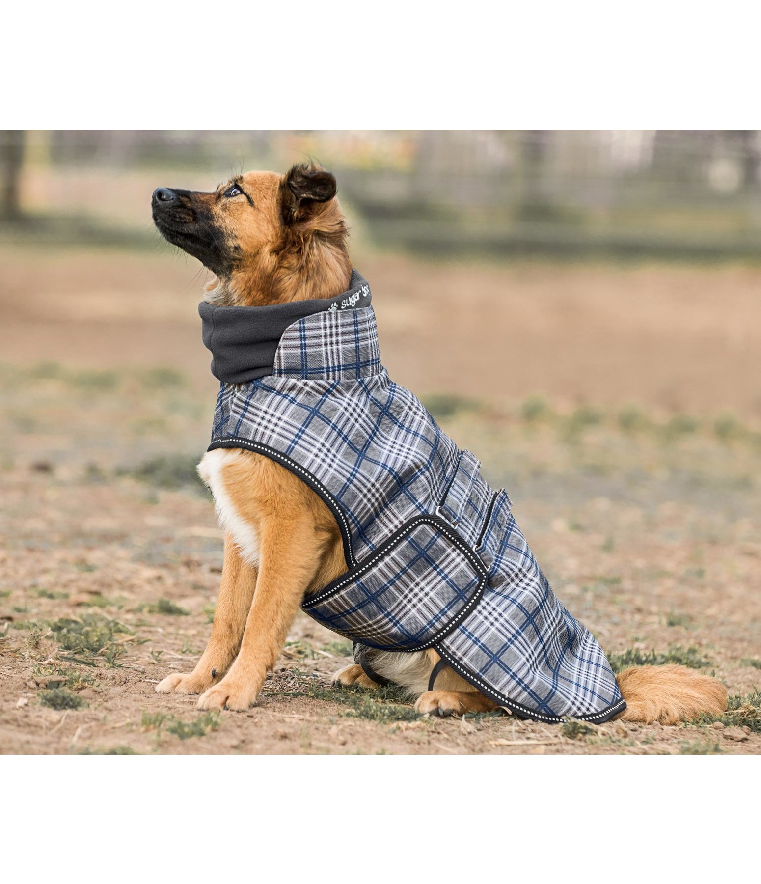 Hunde Wintermantel Pepe mit Fleecekragen 50 g Felix Bühler