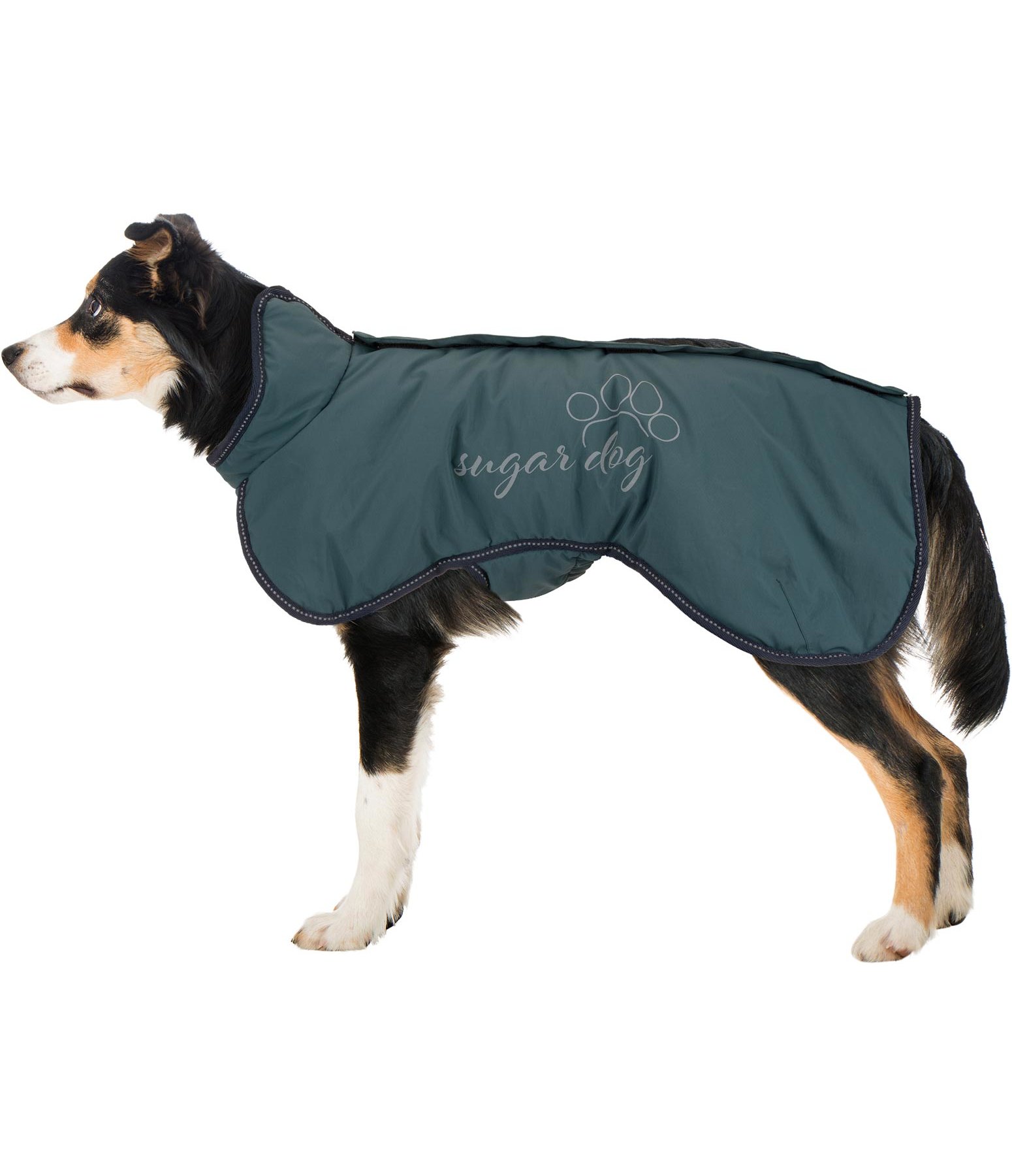 Hunde Wintermantel Tristan, 160 g Hundejacken &amp; mäntel Felix Bühler