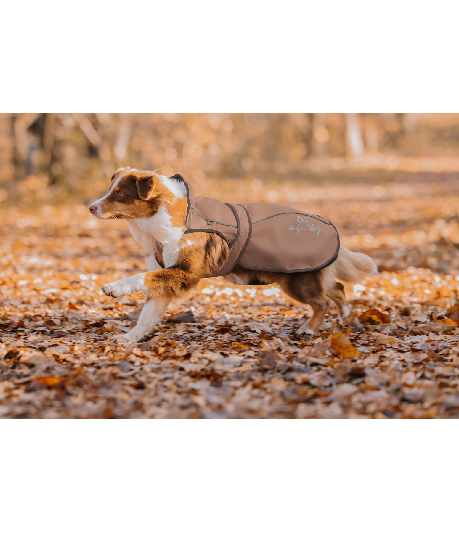 Nylon-Hundemantel Ally 2 in 1
